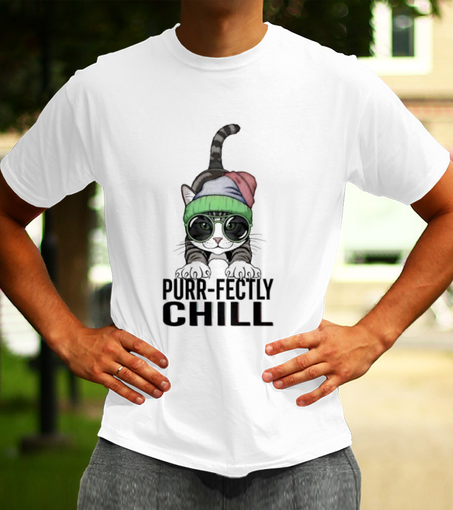 Purr Fectly Chill Cat With Beanie And Sunglasses T-Shirt