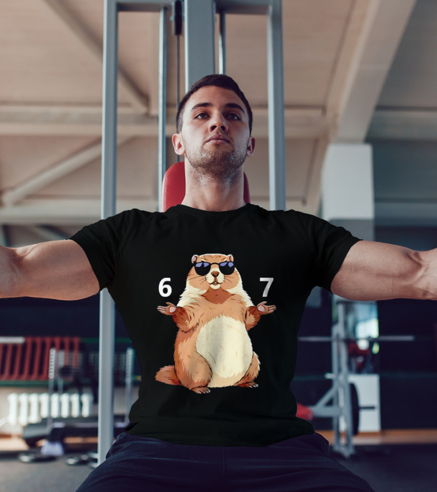 Groundhog Wearing Sunglasses 6 7 Six Seven Meme T-Shirt