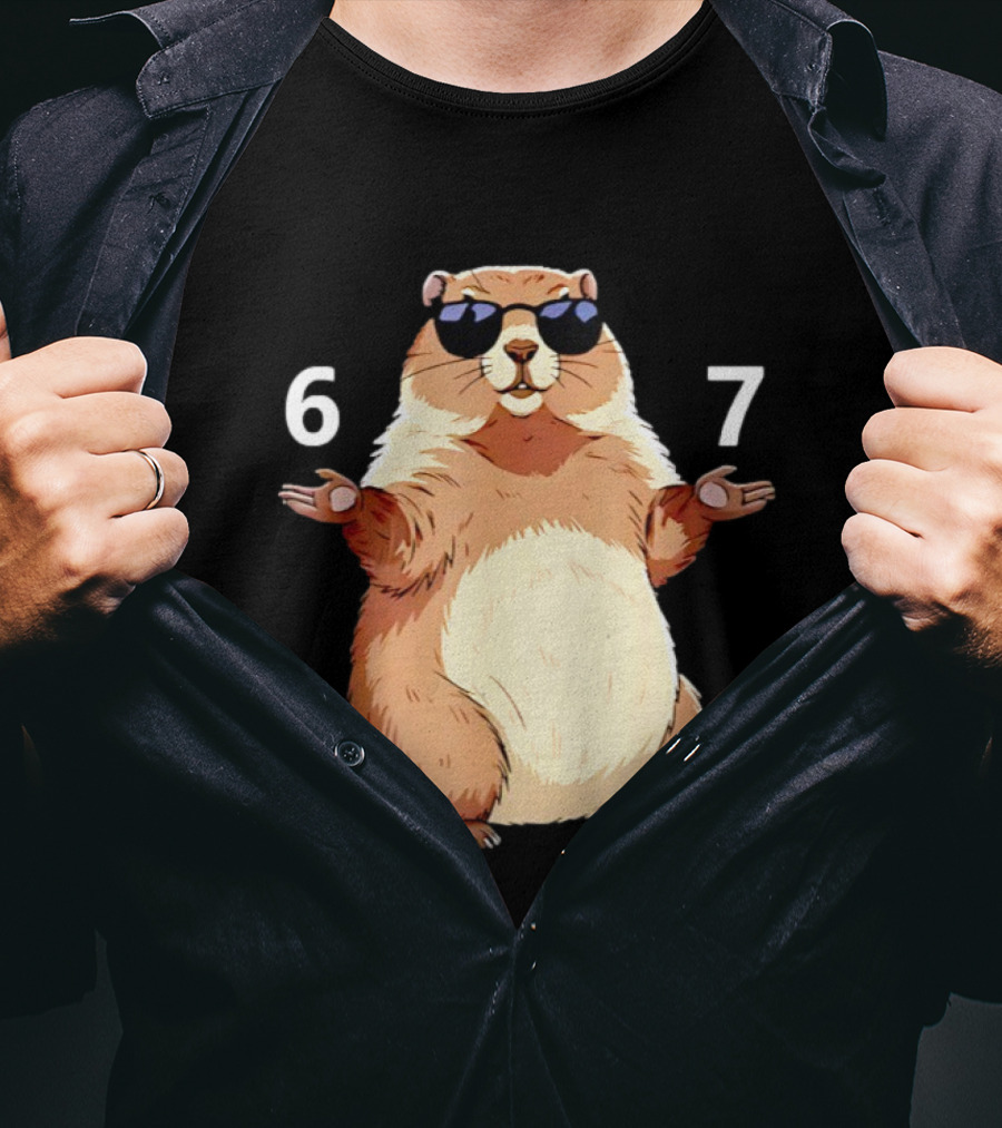 Groundhog Wearing Sunglasses 6 7 Six Seven Meme T-Shirt