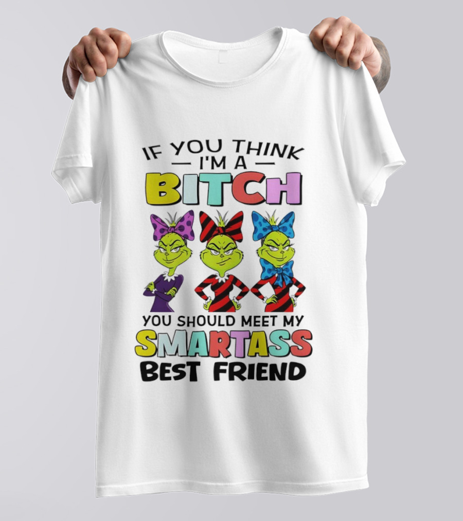 Bitch Smartass Grinch Best Friend Colorful Sassy Attitude T-Shirt