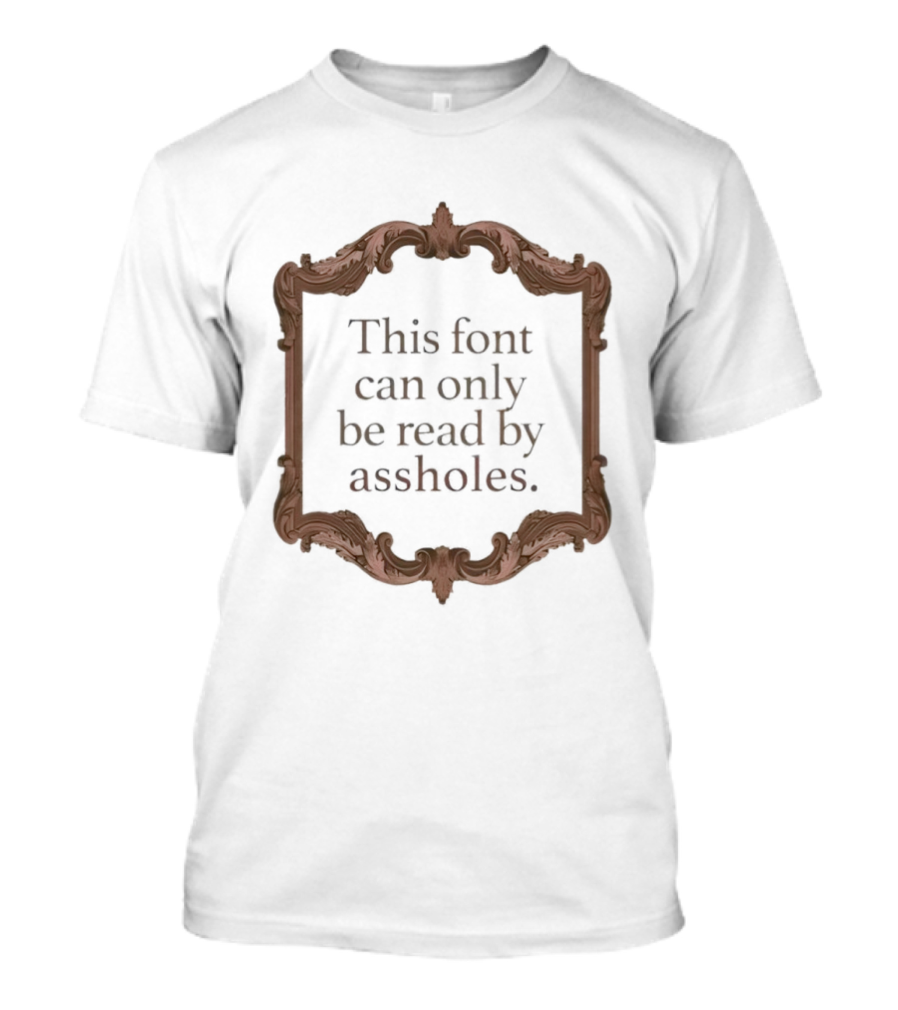 This Font Can Only Be Read By Assholes Frame T-Shirt