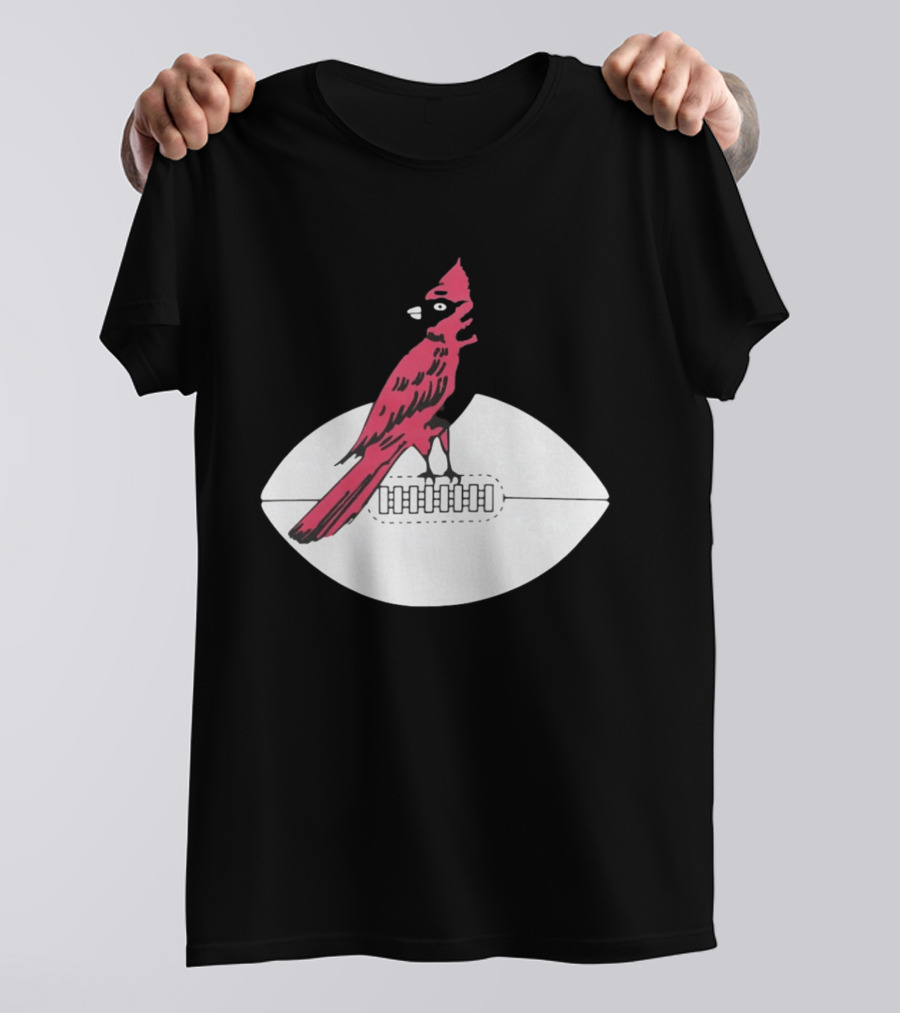 Arizona Cardinals Bird On Football T-Shirt