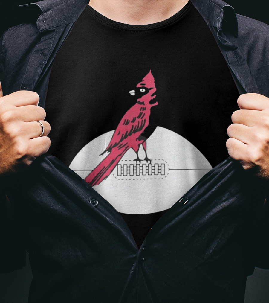 Arizona Cardinals Bird On Football T-Shirt