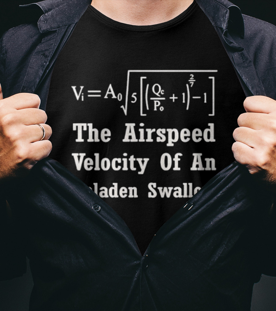 The Airspeed Velocity Of An Unladen Swallow Formula Equation Vi A0 T-Shirt