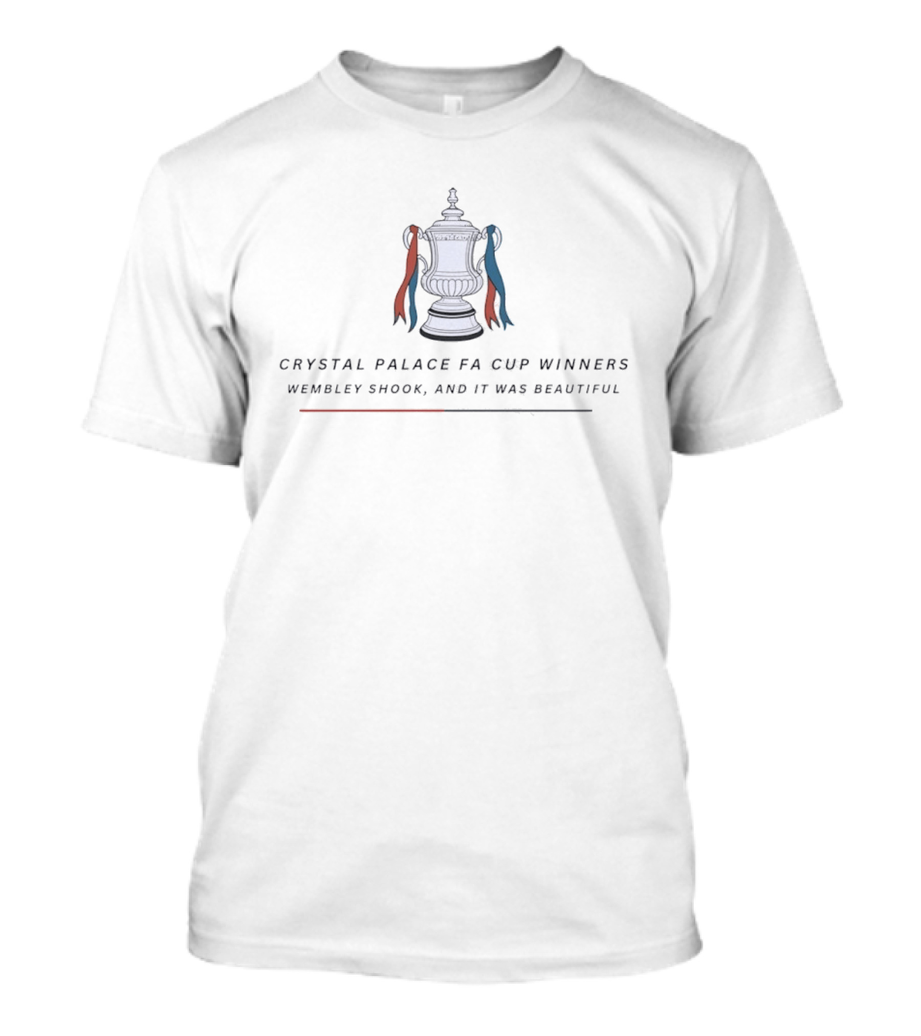 Crystal Palace FA Cup Winners Wembley Shook And It Was Beautiful T-Shirt