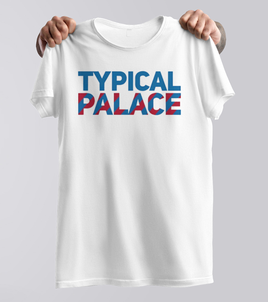 Typical Palace Red And Blue Bold Block T-Shirt