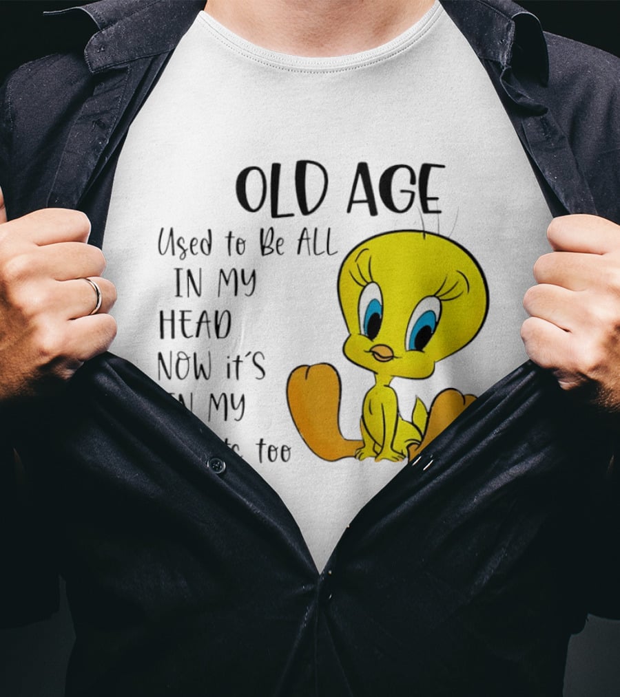 Old Age Tweety Used To Be All In My Head Now It's In My Joints Too T-Shirt