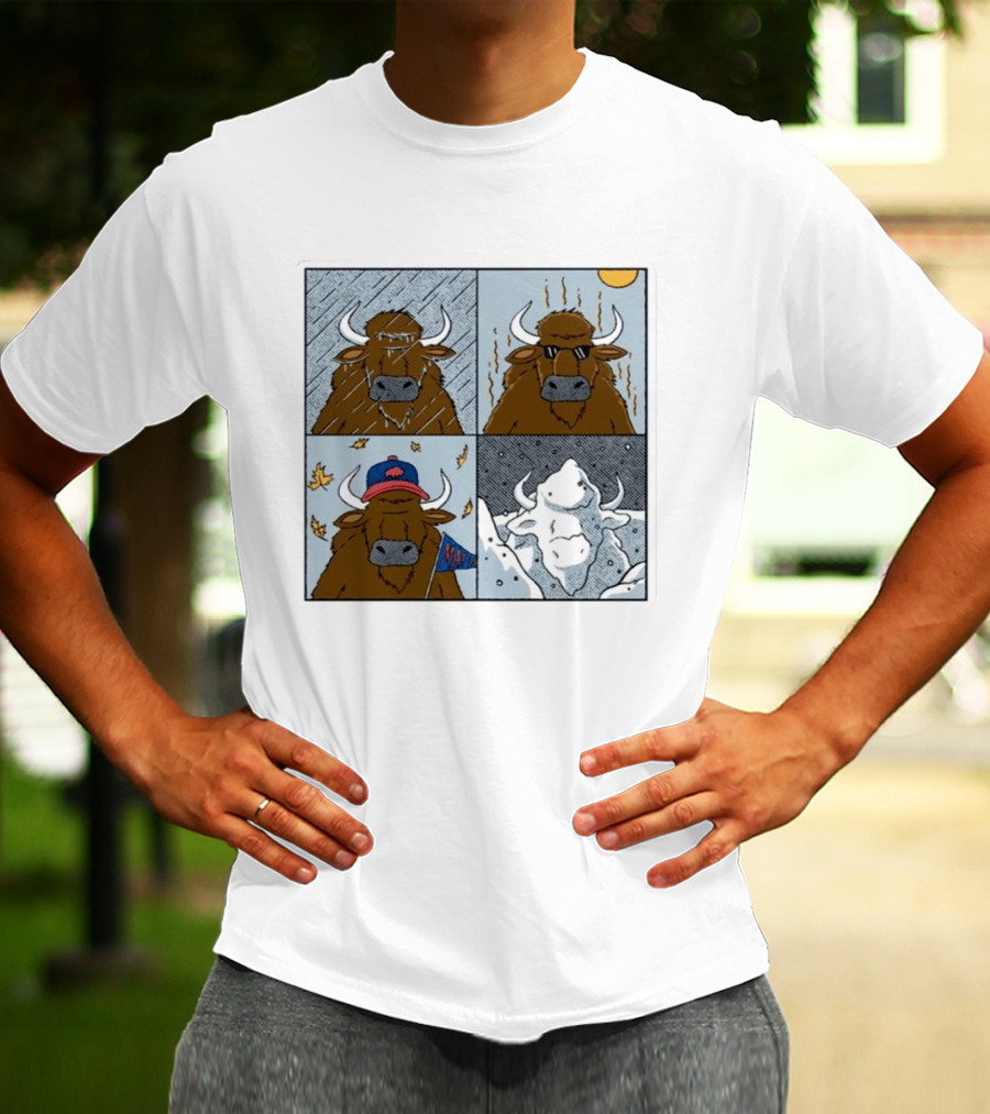 Buffalo Bills Seasons Buffalo Cartoon NFL Sports Fan T-Shirt