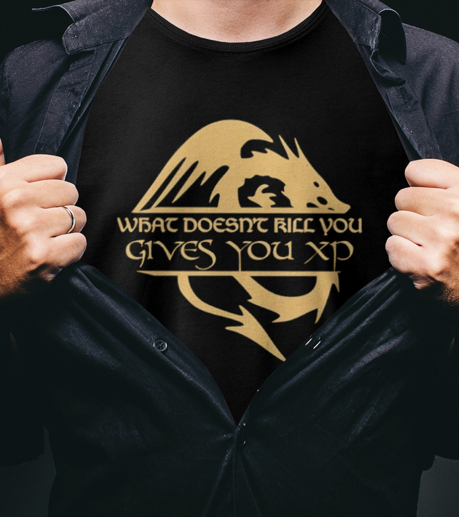 What Doesn't Kill You Gives You XP Dragon Adventure T-Shirt