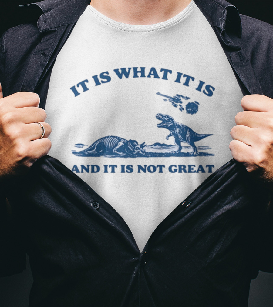 It Is What It Is Dinosaur And It Is Not Great T-Shirt