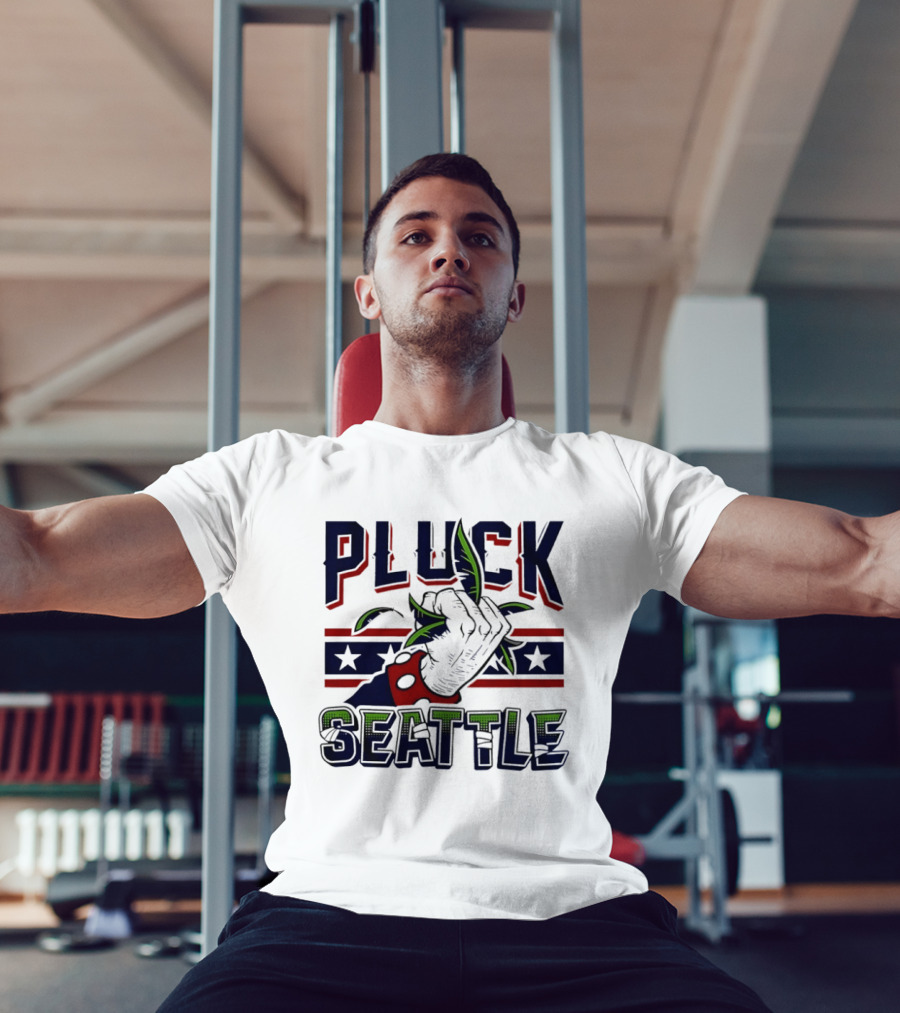 Pluck Seattle Seahawks Fist Stars And Stripes T-Shirt