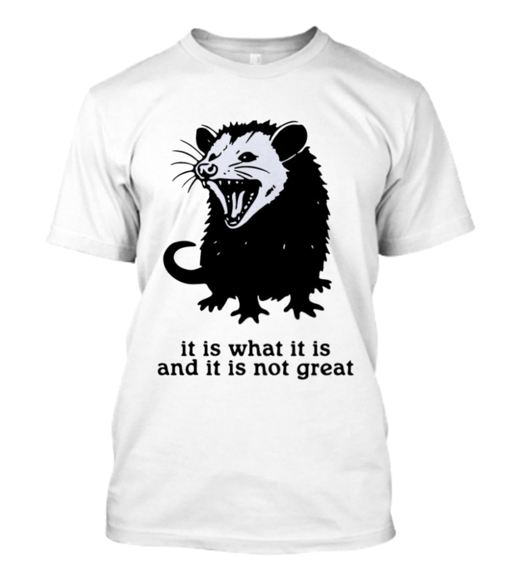 It Is What It Is And It Is Not Great Opossum T-Shirt