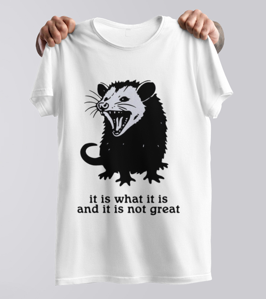 It Is What It Is And It Is Not Great Opossum T-Shirt