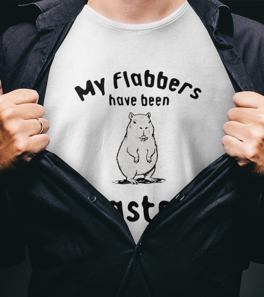 My Flabbers Have Been Gasted Capybara Meme T-Shirt