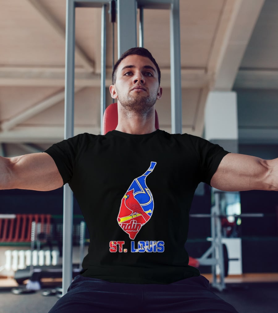 St. Louis Cardinals And Blues Team Spirit T-Shirt