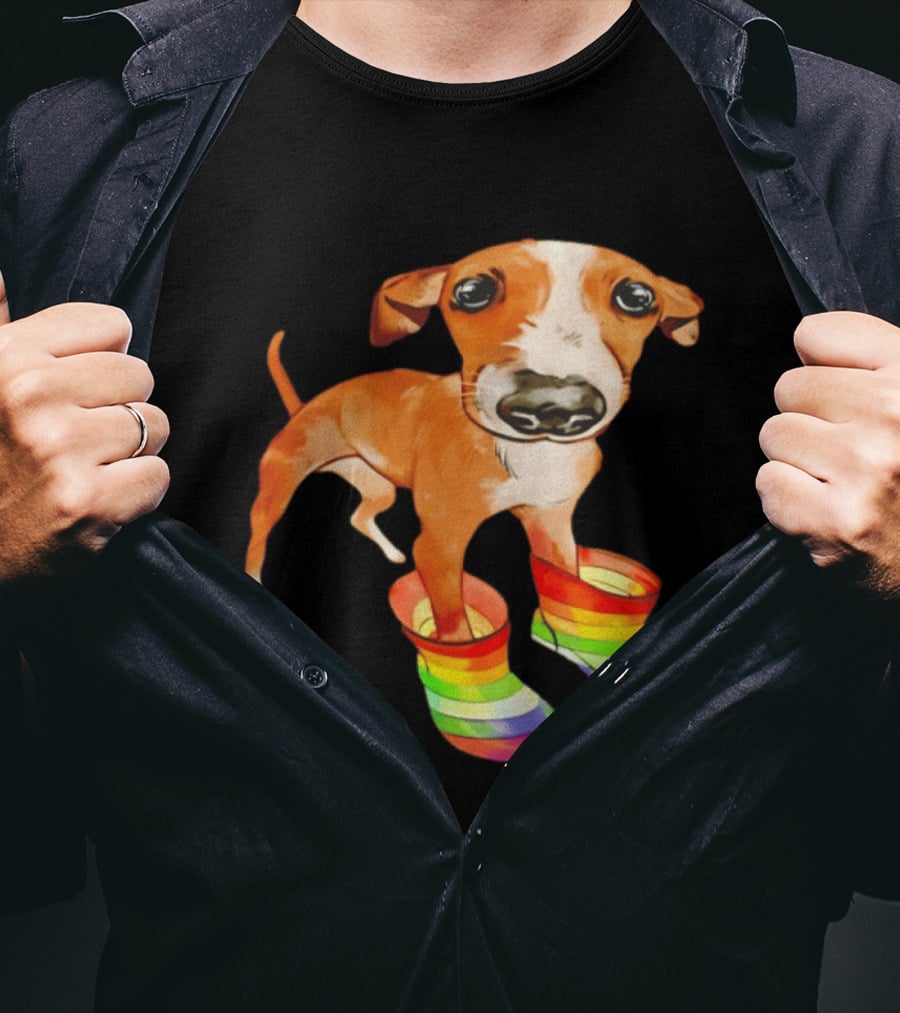 Doggie Rainbow Rainboots Puppy In Colorful Boots T-Shirt