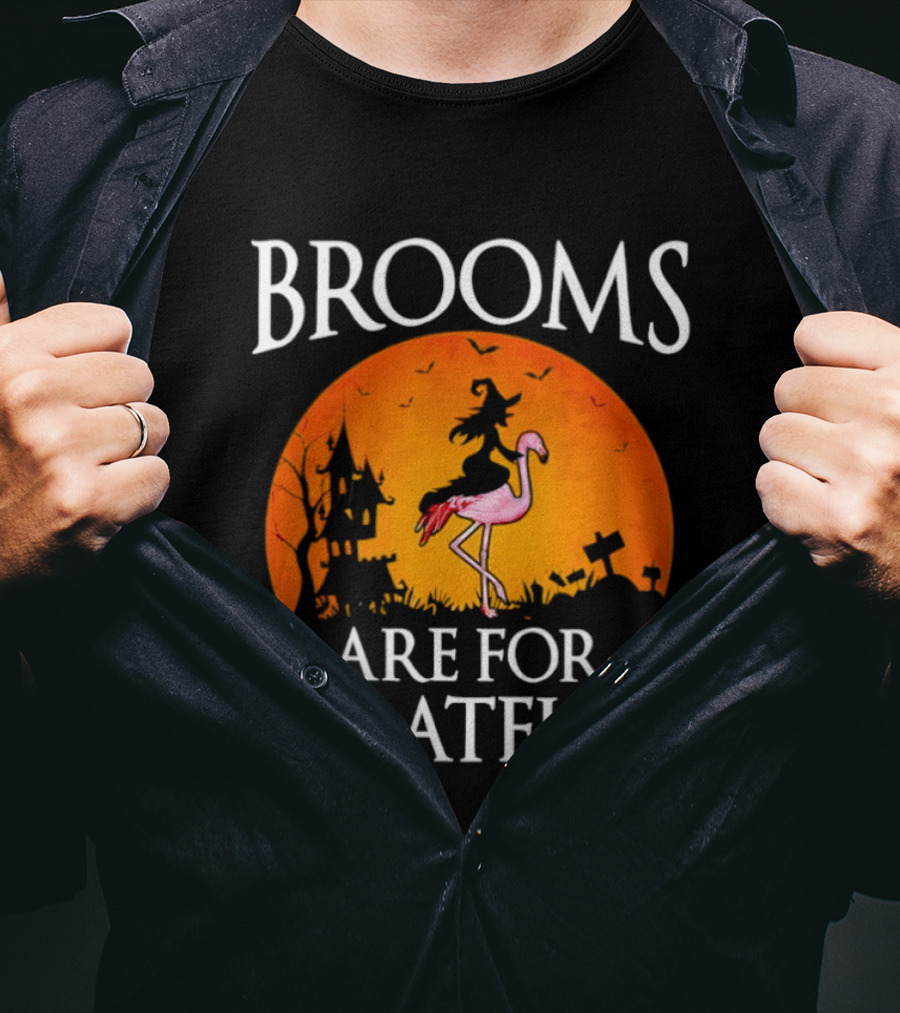 Brooms Are For Amateurs Flamingo Witch Halloween T-Shirt