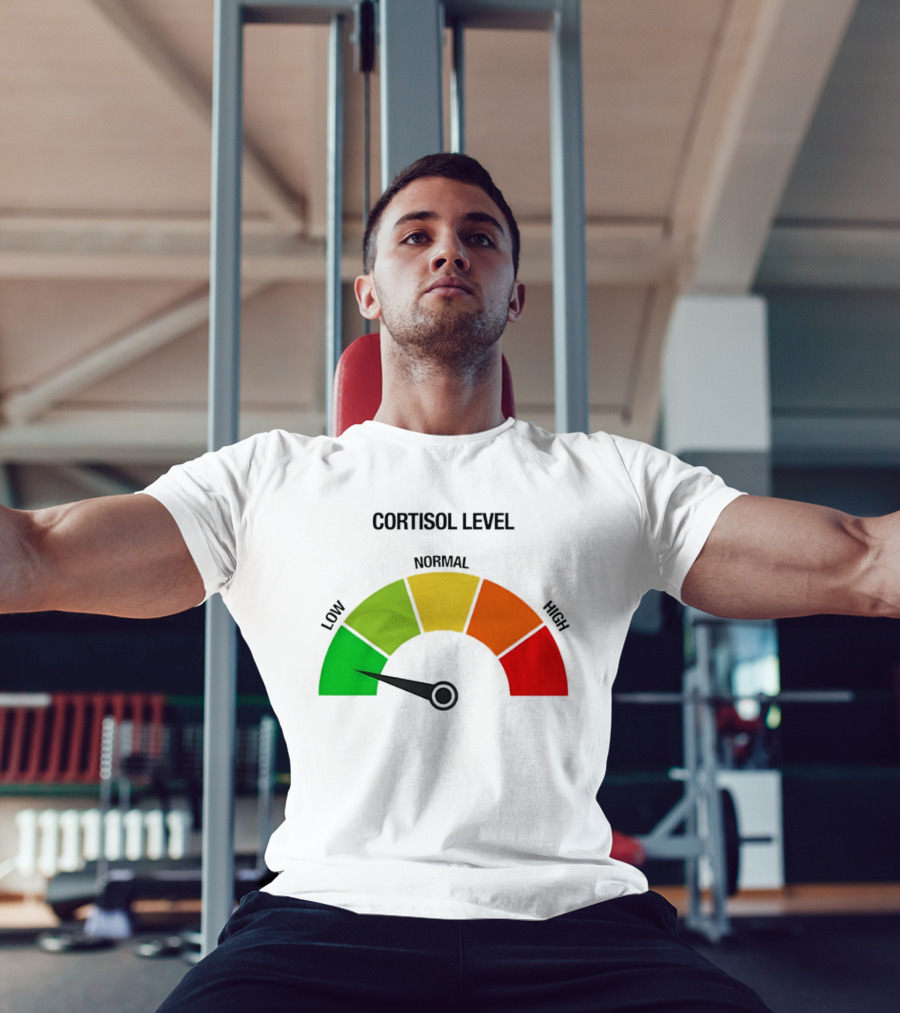 Cortisol Level Low Stress Indicator Gauge T-Shirt