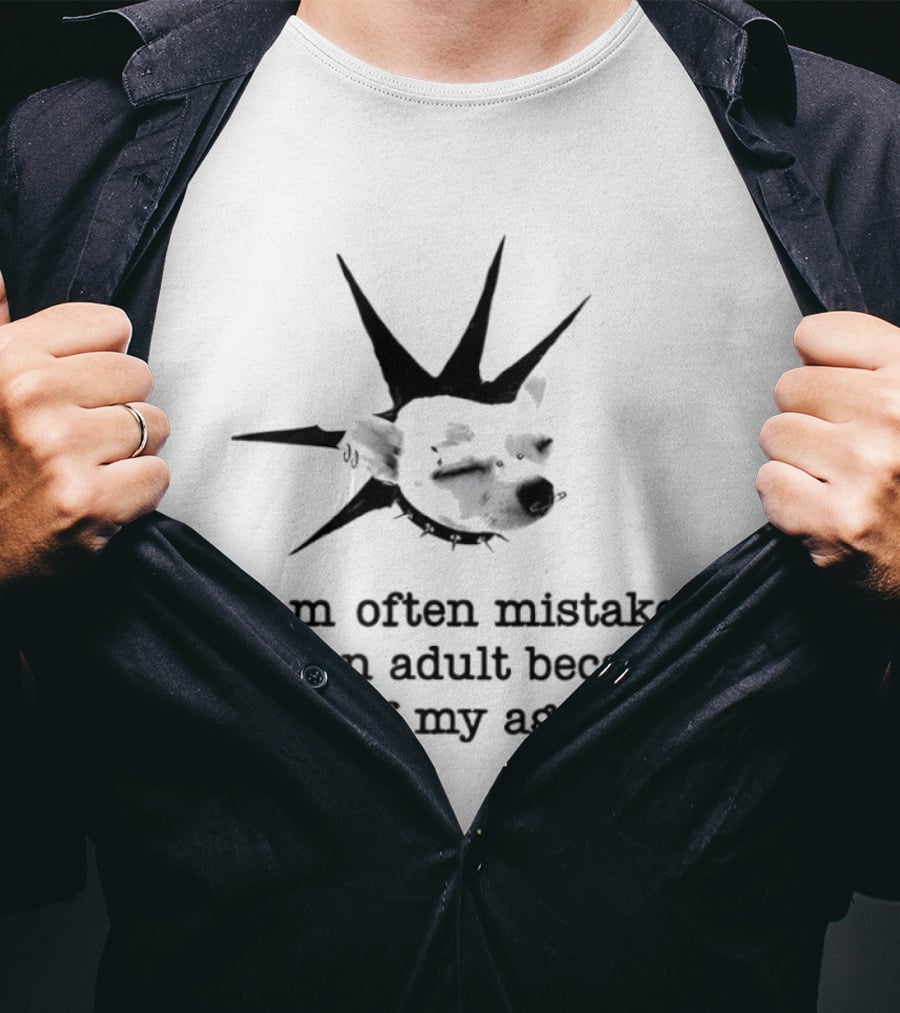 I Am Often Mistaken For An Adult Because Of My Age Statue Liberty T-Shirt