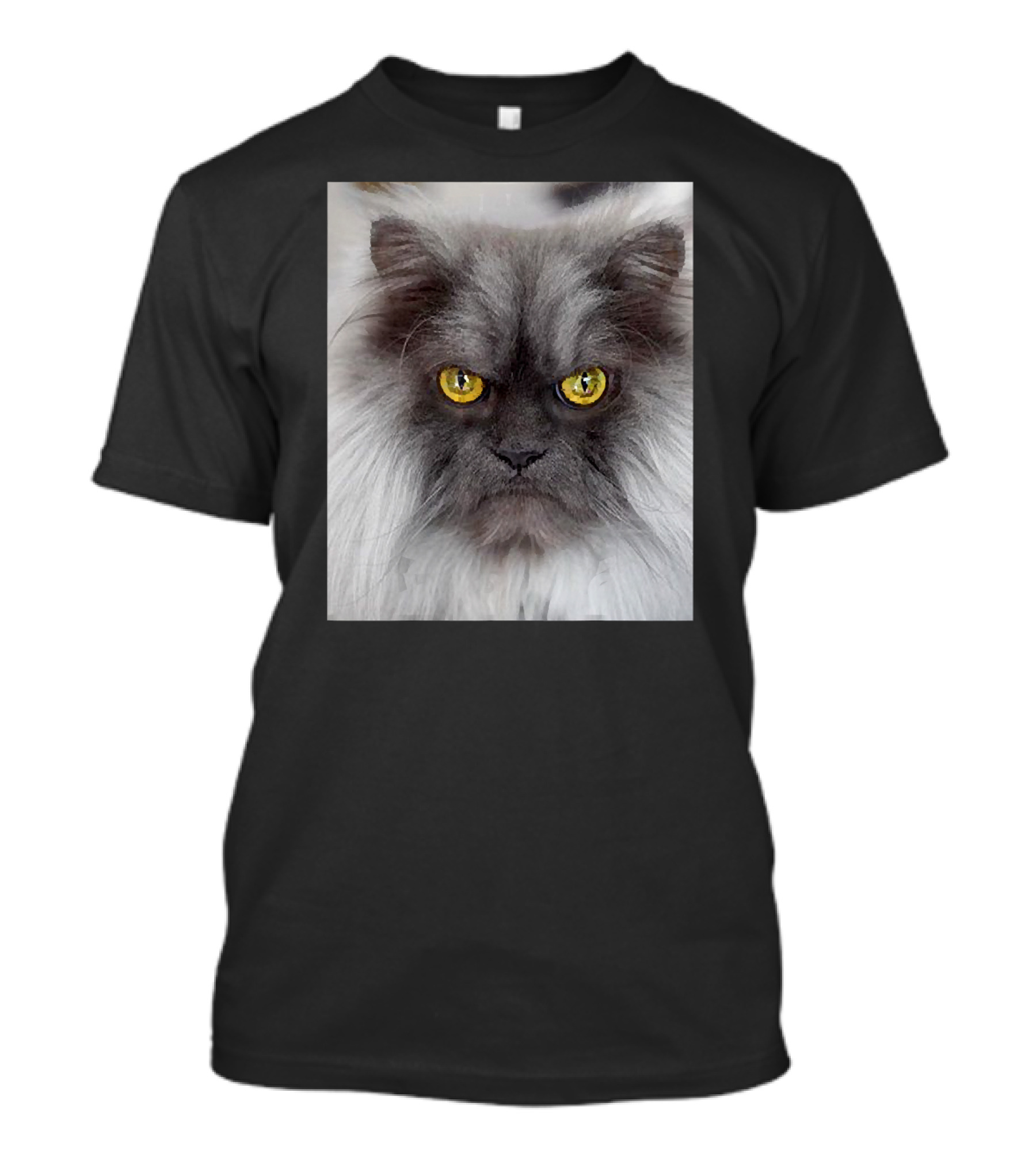 Jun The Angry Cat Golden Eyes Grumpy Expression T-Shirt