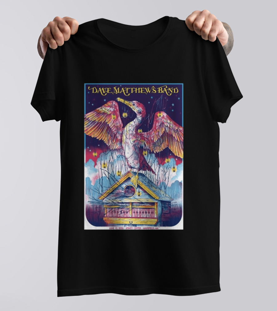 Dave Matthews Band June 19 2026 Xfinity Center Mansfield MA Bird Lanterns T-Shirt