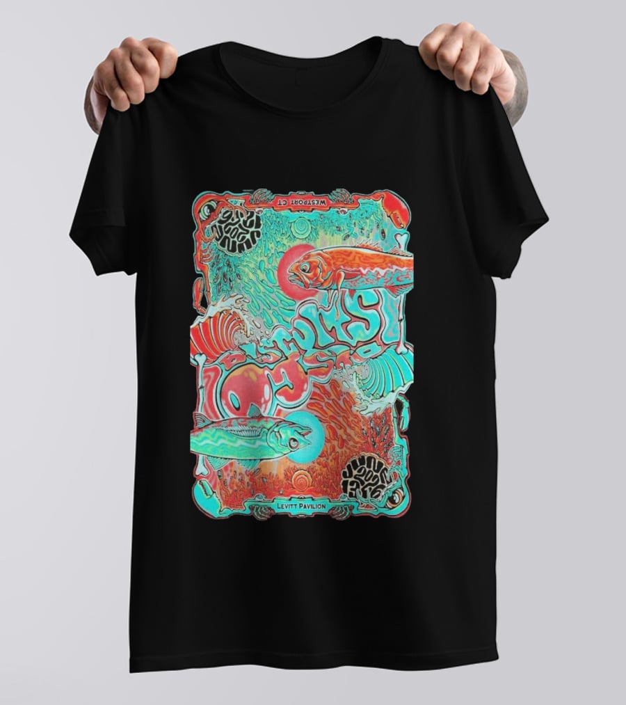 The Disco Biscuits Westport CT June 13 2026 Levitt Pavilion T-Shirt
