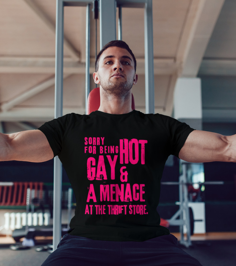Sorry For Being Hot Gay And A Menace At The Thrift Store T-Shirt