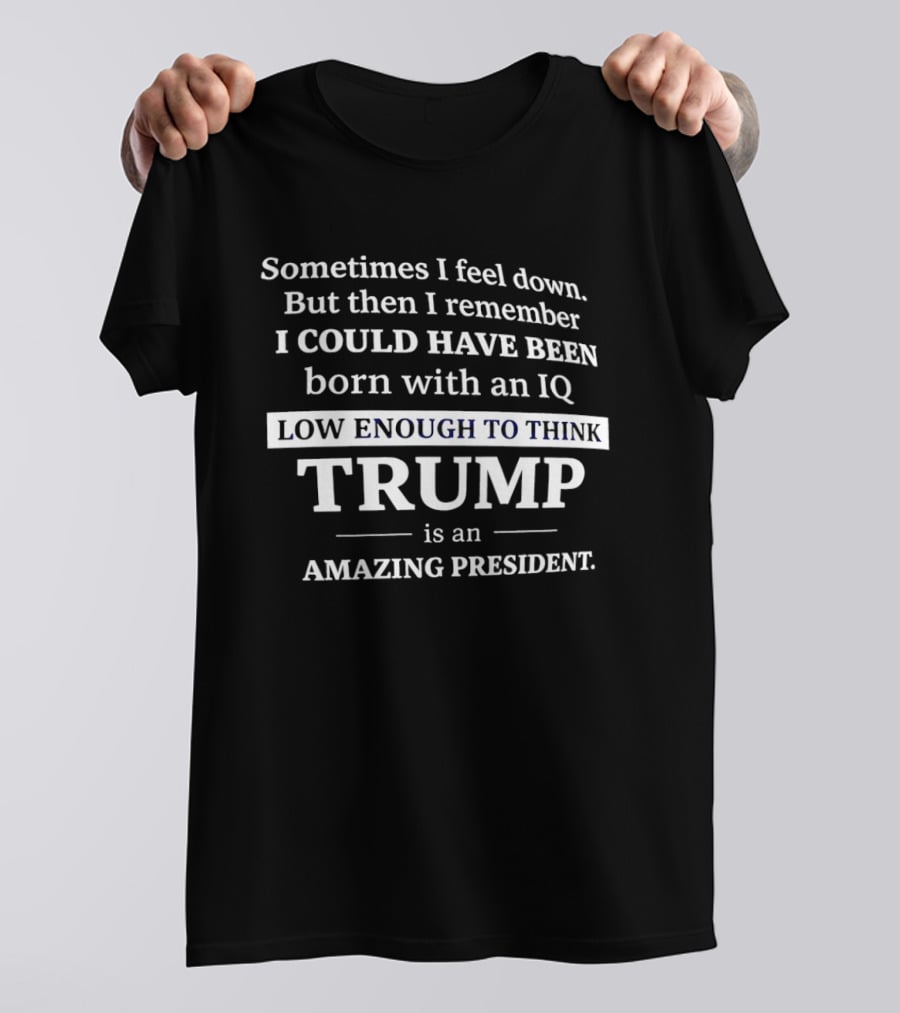 Sometimes I Feel Down But Then I Remember I Could Have Been Born With An IQ Low Enough To Think Trump Is An Amazing President T-Shirt