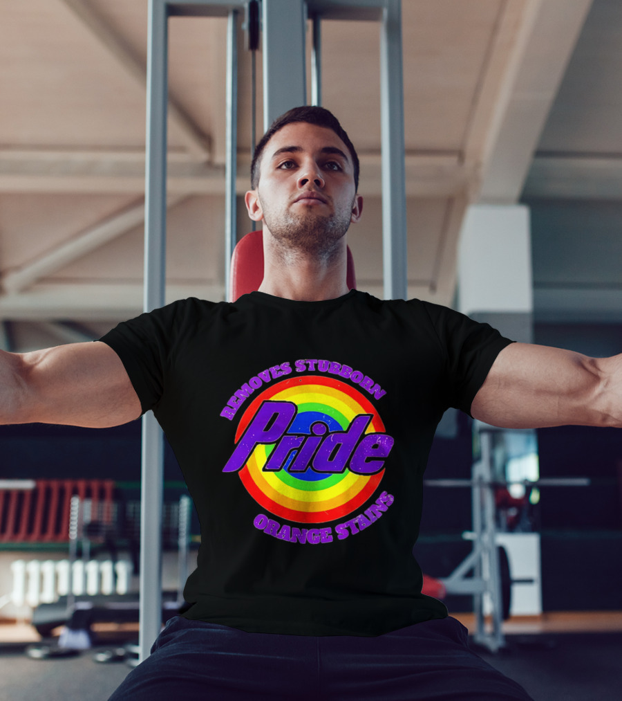 Pride Removes Stubborn Orange Stains Rainbow Circle T-Shirt