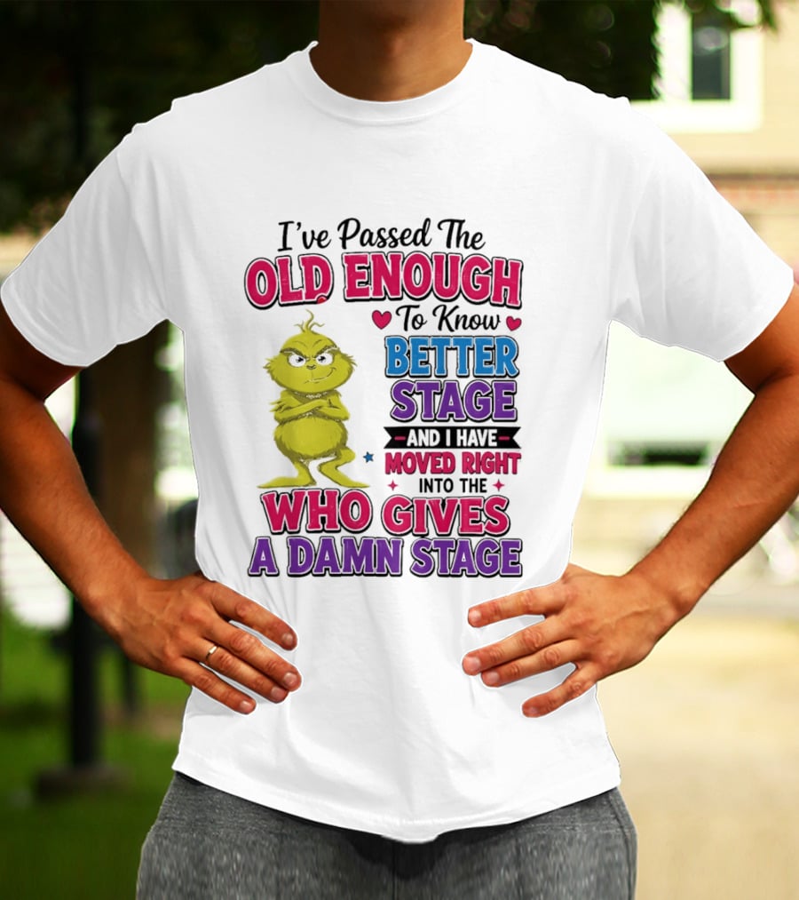 Passed The Old Enough To Know Better Moved Right Into The Who Gives A Damn Stage T-Shirt