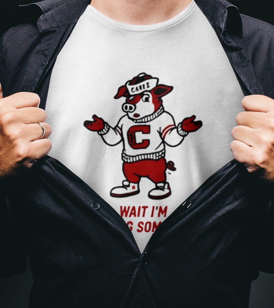 Carolina Hurricanes Wait I'm Missing Something 2026 NHL Hockey C Sweater Pig T-Shirt