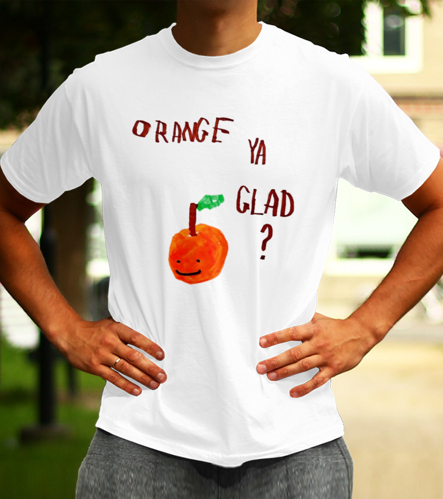 Orange Ya Glad Fruit Pun Food Punny Paint Playful Orange T-Shirt