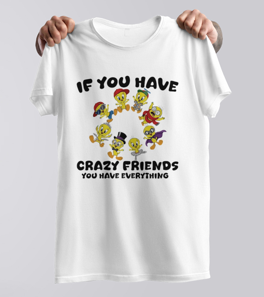 If You Have Crazy Friends You Have Everything Tweety Bird Characters T-Shirt