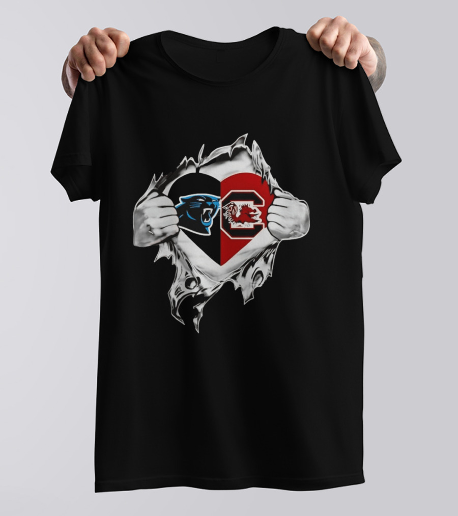 Carolina Panthers South Carolina Gamecocks Heart T-Shirt