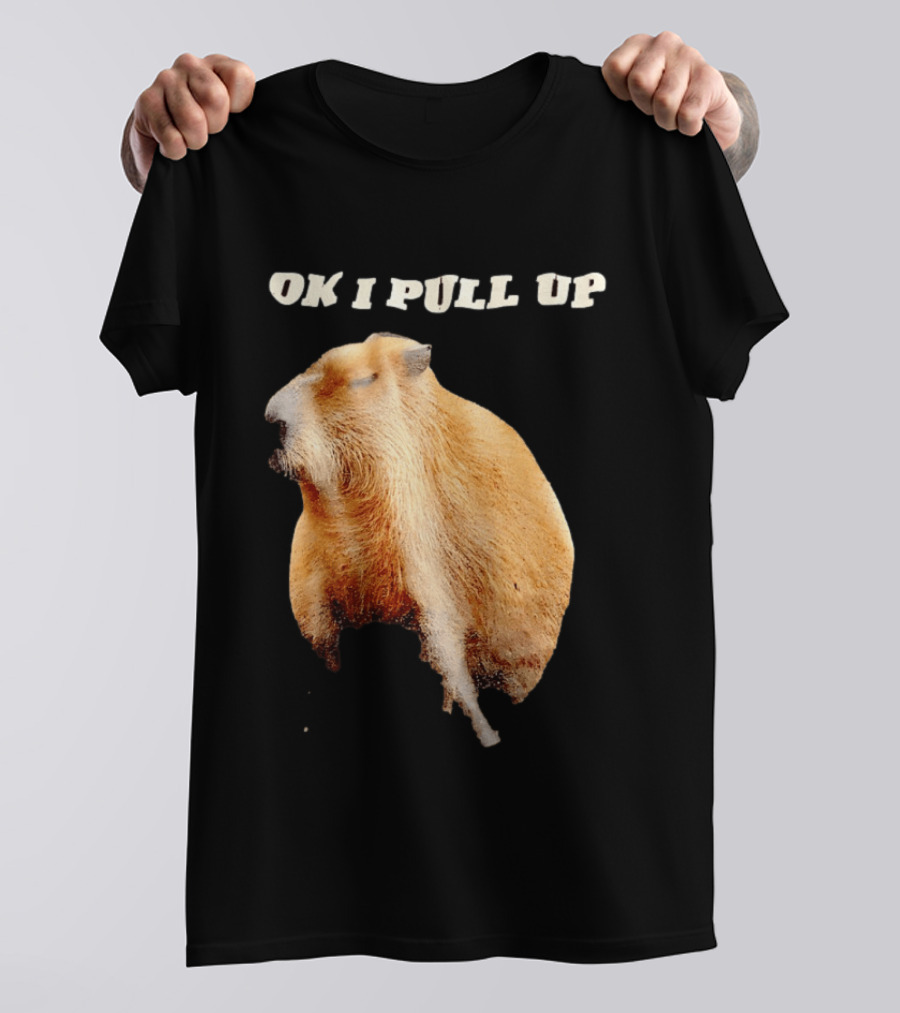 Ok I Pull Up Capybara Meme T-Shirt