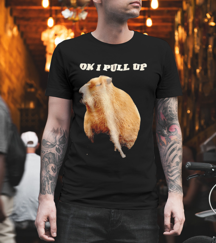 Ok I Pull Up Capybara Meme T-Shirt