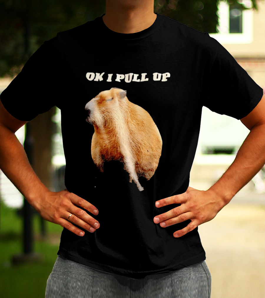 Ok I Pull Up Capybara Meme T-Shirt