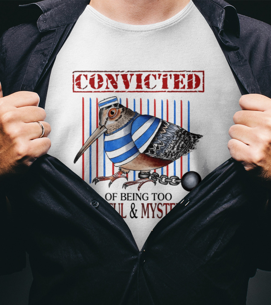 Convicted Of Being Too Beautiful And Mysterious Bird Prisoner Stripes T-Shirt