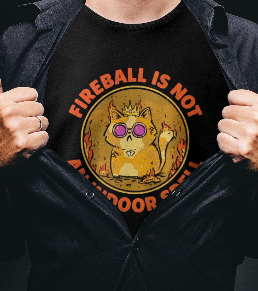 Princess Donut Fireball Is Not An Indoor Spell Dungeon Crawler Carl T-Shirt