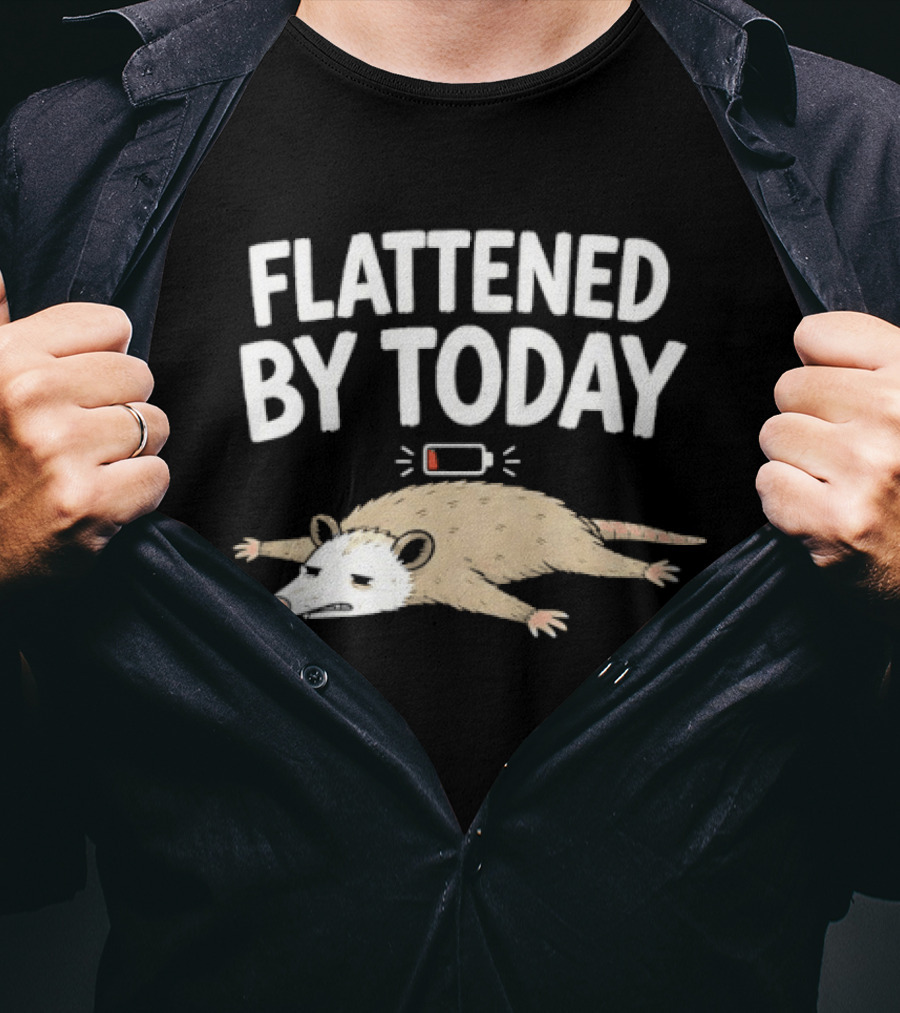 Flattened By Today Opossum Low Battery Humor T-Shirt