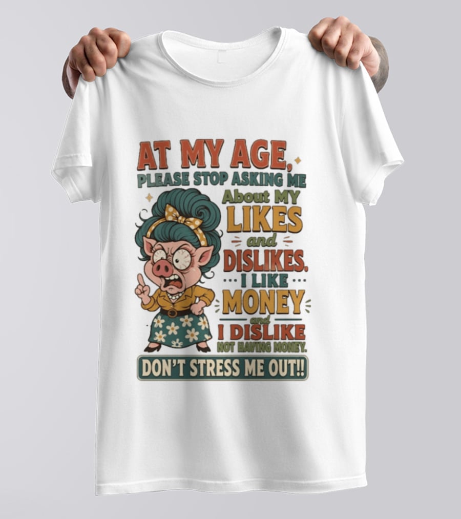 At My Age Please Stop Asking About My Likes I Like Money I Dislike Not Having Money Don't Stress Me Out T-Shirt