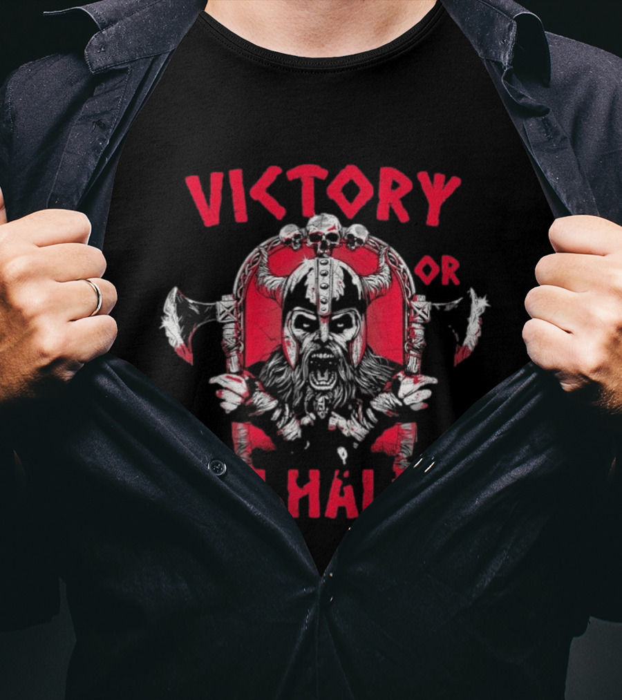 Victory Or Valhalla Viking Warrior Skull Axe Helmet Norse T-Shirt