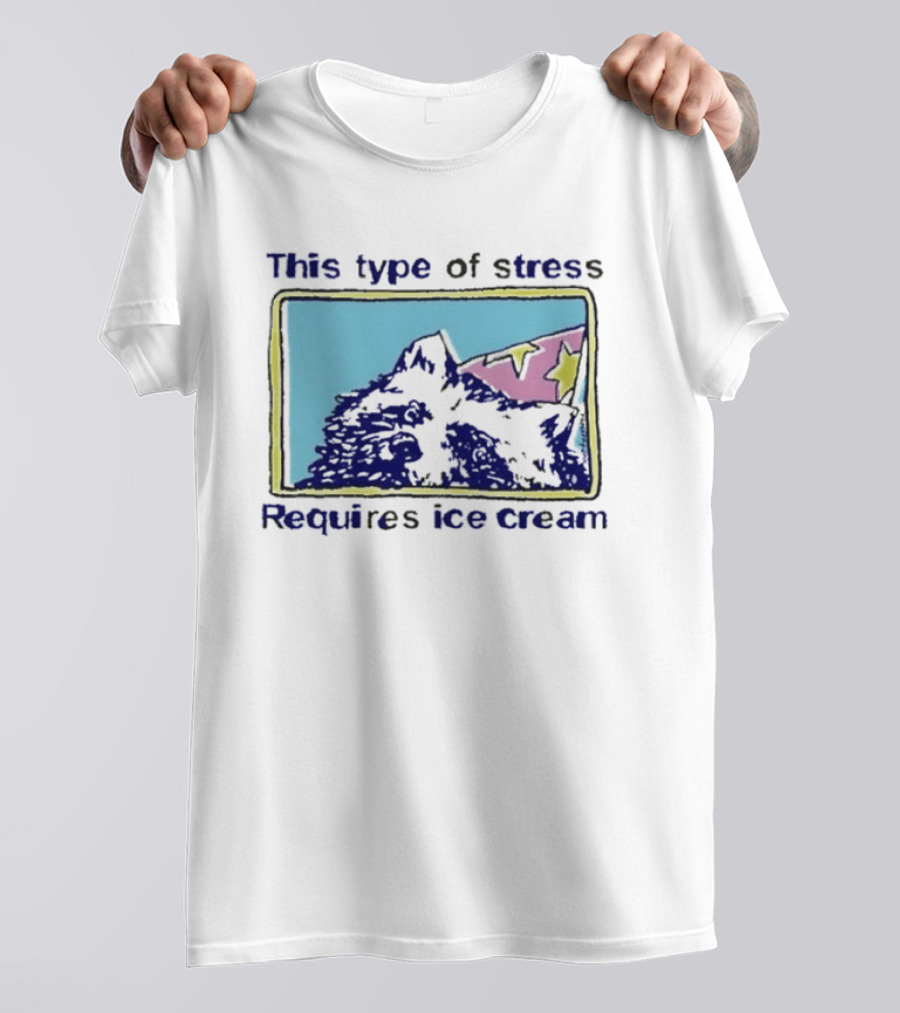 This Type Of Stress Requires Ice Cream Raccoon Meme T-Shirt