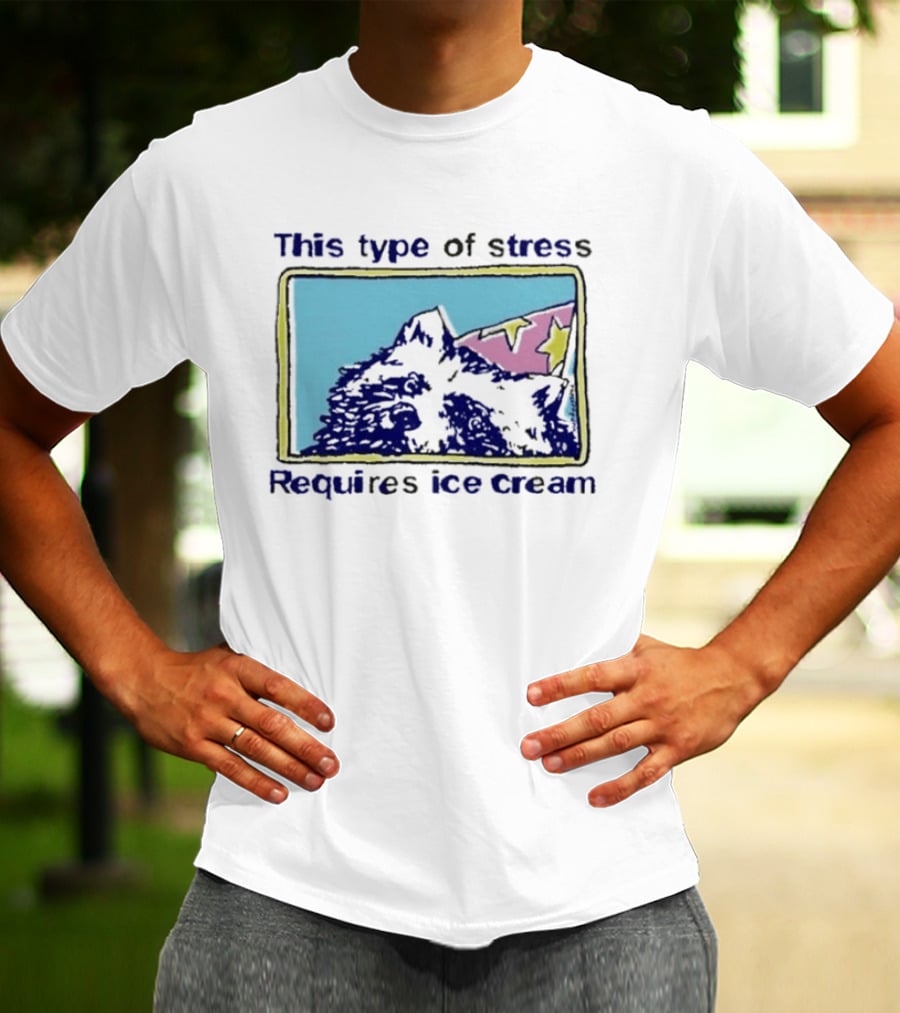 This Type Of Stress Requires Ice Cream Raccoon Meme T-Shirt