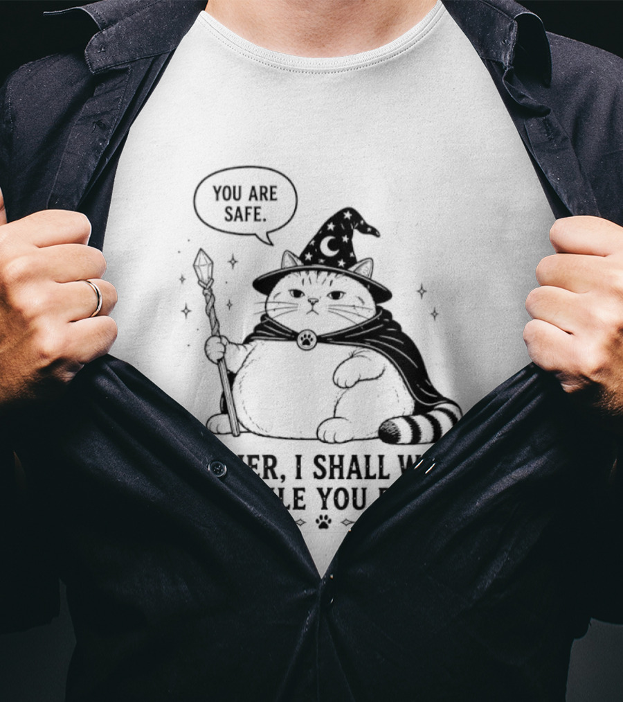 Wizard Cat You Are Safe Mother I Shall While You Pee T-Shirt