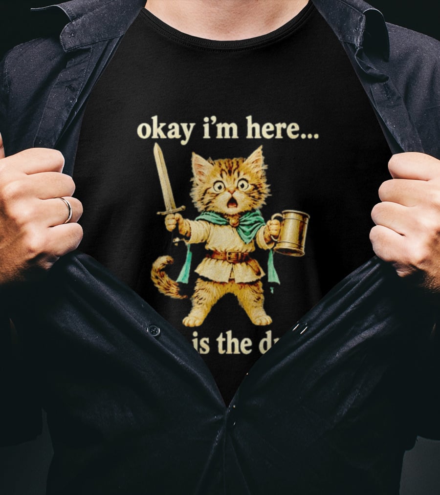 Okay I'm Here Where Is The Dragon Cat Knight Sword Adventure T-Shirt