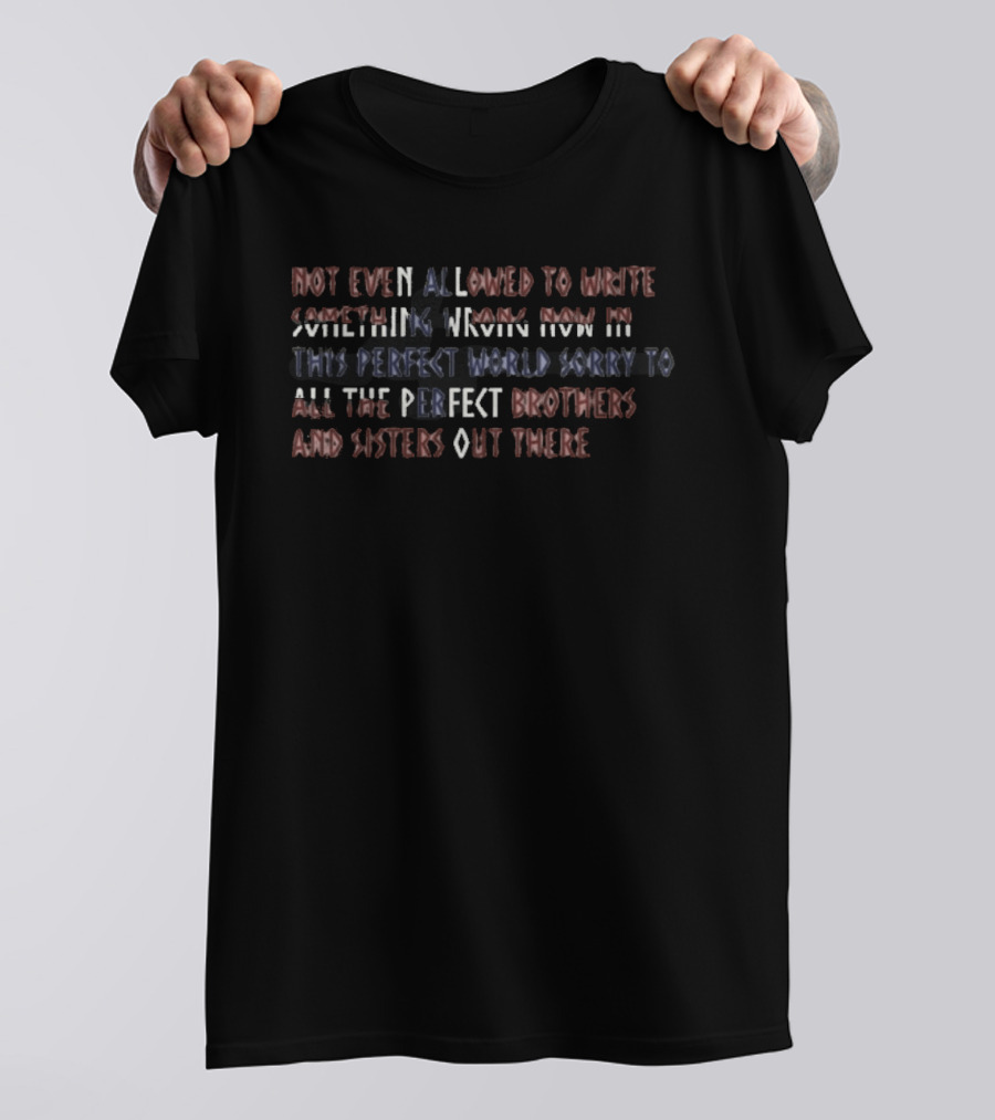 Not Even Allowed To Write Something Wrong Now In This Perfect World Sorry To All The Perfect Brothers And Sisters Out There T-Shirt