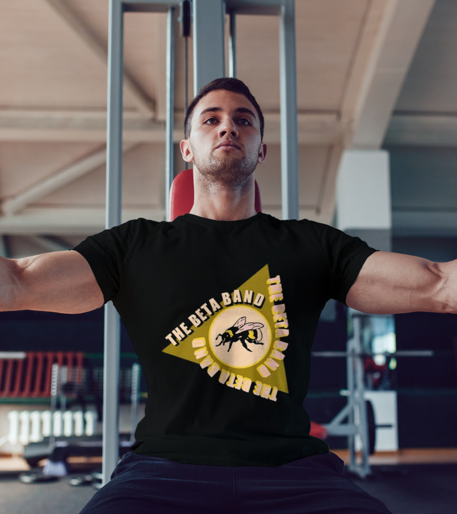 The Beta Band Triangle Honeybee Session T-Shirt