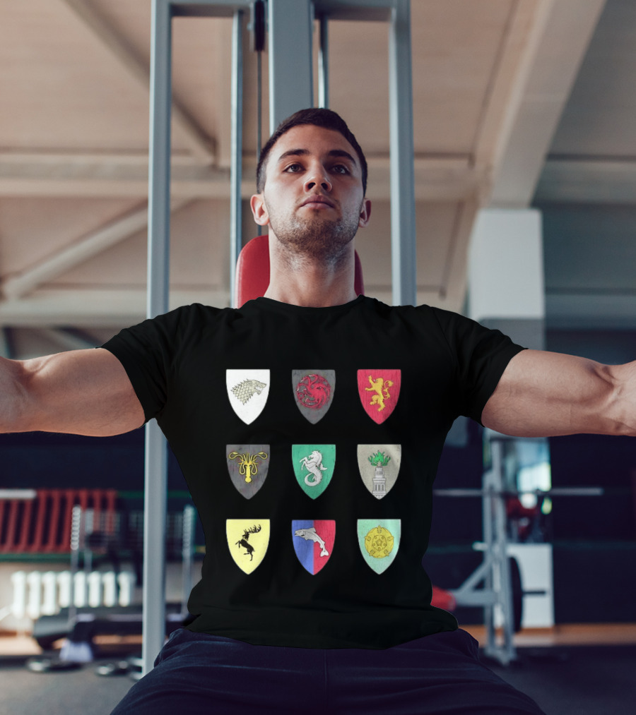 Game Of Thrones Westeros House Sigils Stark Targaryen Lannister Greyjoy Tully Baratheon بأأ** T-Shirt