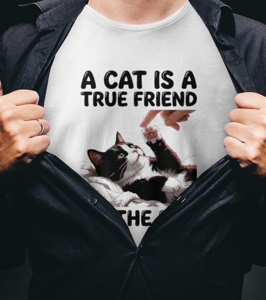 A Cat Is A True Friend To The End Pet Owner's Feline Loyalty And Companionship T-Shirt